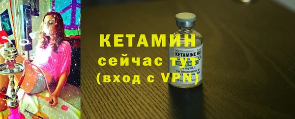 шишки Кодинск