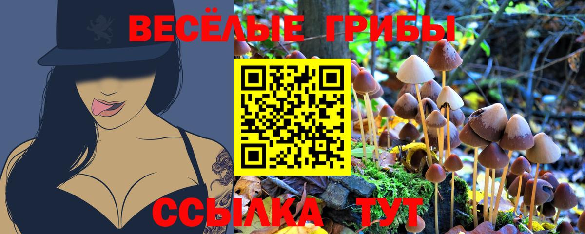 АМФЕТАМИН Кудымкар
