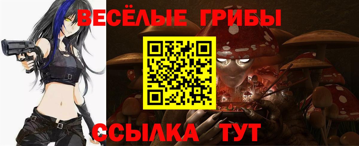 Галлюциногенные грибы Psilocybine cubensis  Вход с VPN  Галлюциногенные грибы Psilocybe  Кудымкар 